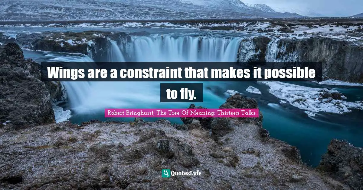 Wings are a constraint that makes it possible to fly.