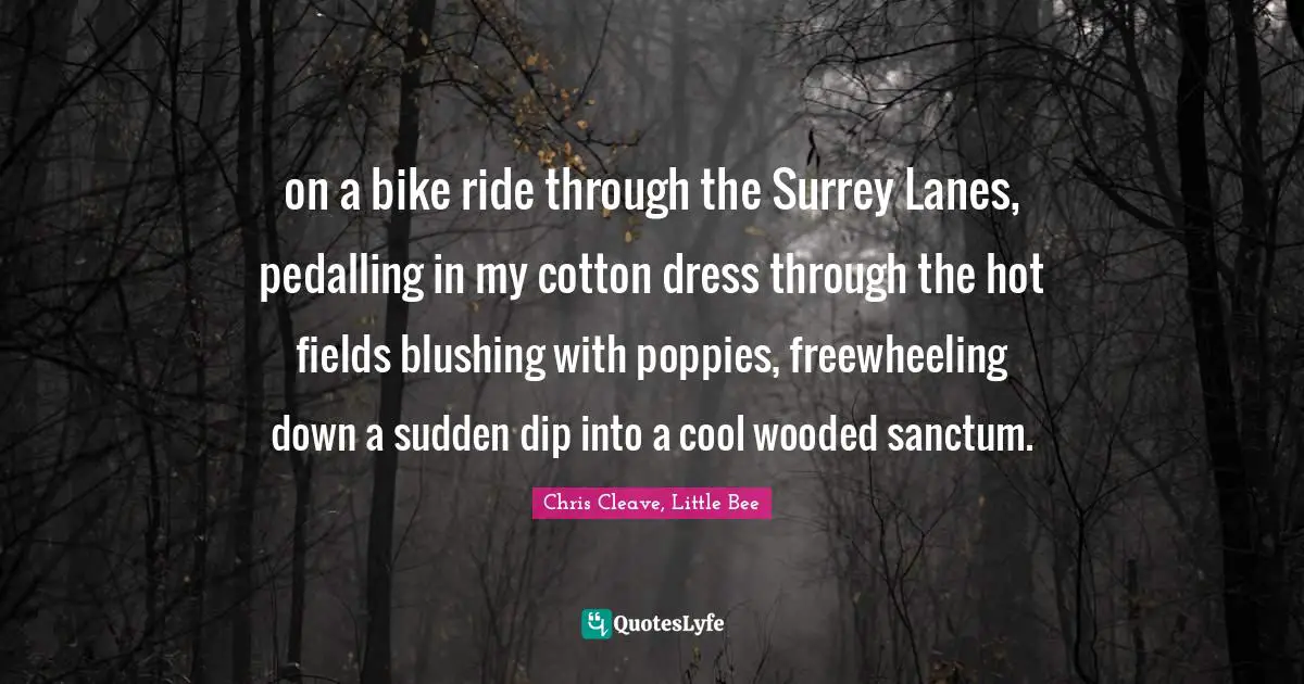 on a bike ride through the Surrey Lanes, pedalling in my cotton dress through the hot fields blushing with poppies, freewheeling down a sudden dip into a cool wooded sanctum.