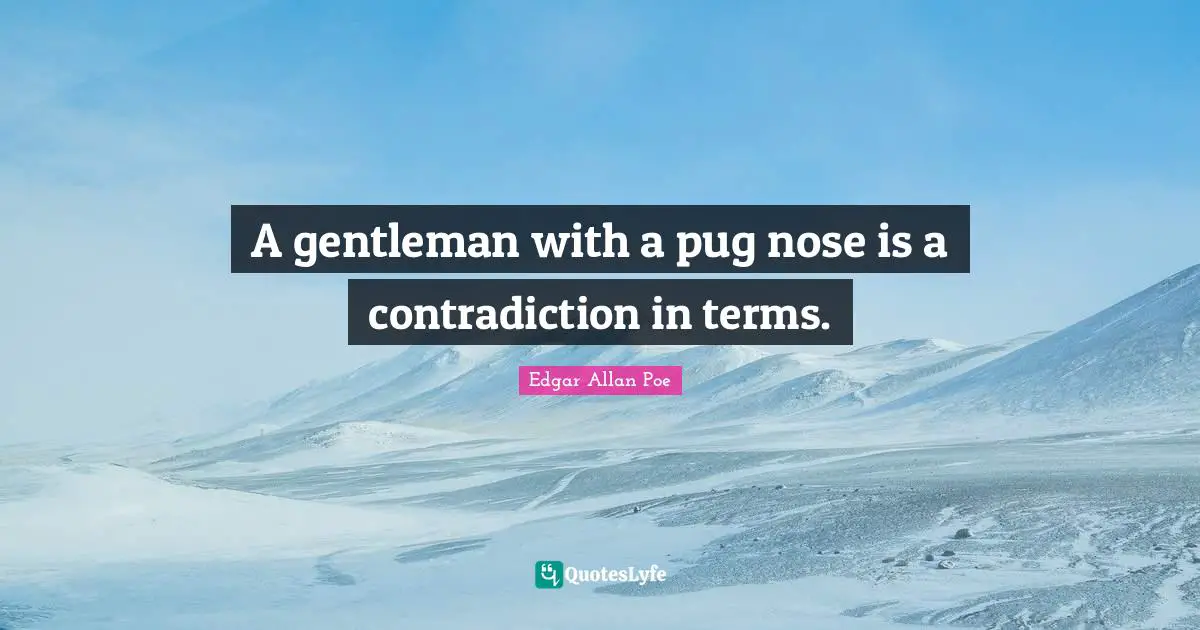 A gentleman with a pug nose is a contradiction in terms.