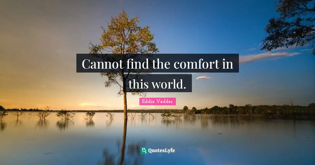 Cannot find the comfort in this world.