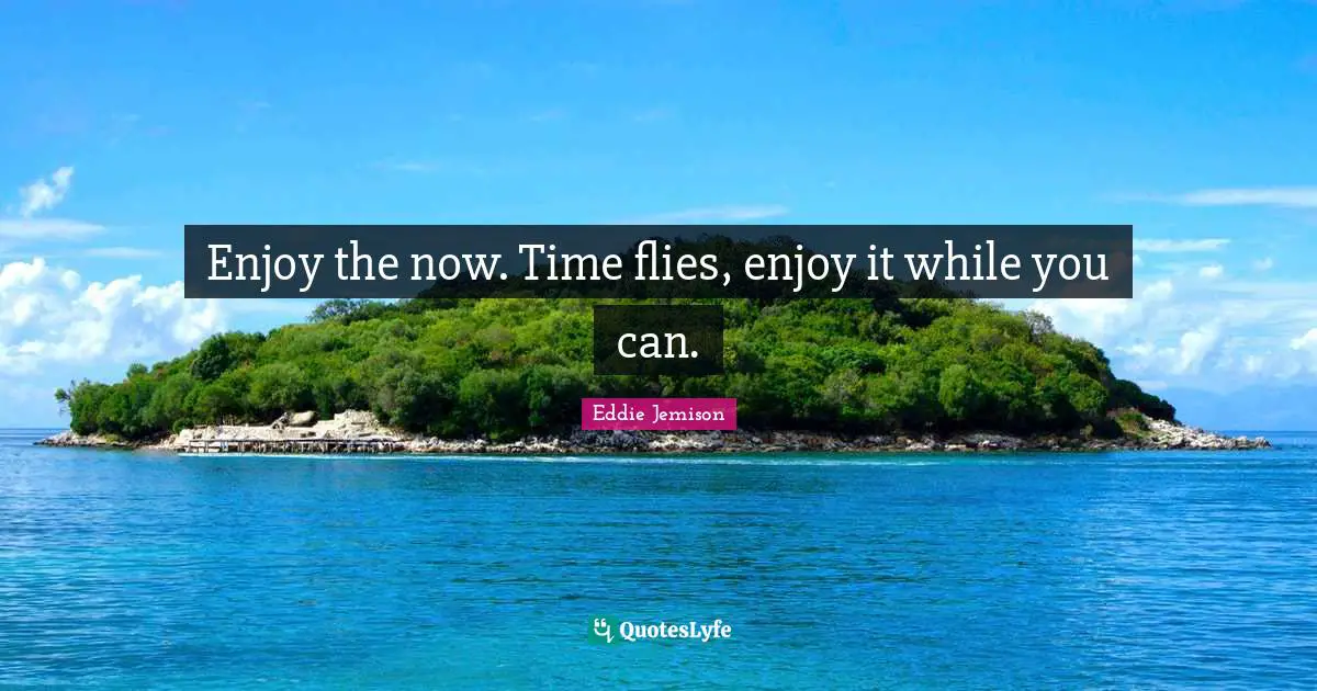 Time Flies Quotes: "Enjoy the now. Time flies, enjoy it while you can."