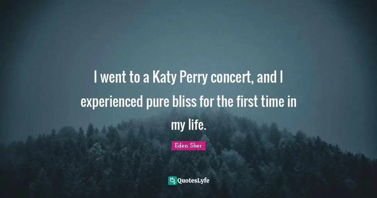 I went to a Katy Perry concert, and I experienced pure bliss for the first time in my life.