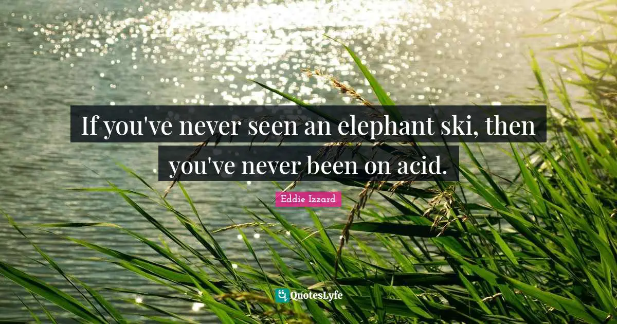 If you've never seen an elephant ski, then you've never been on acid.