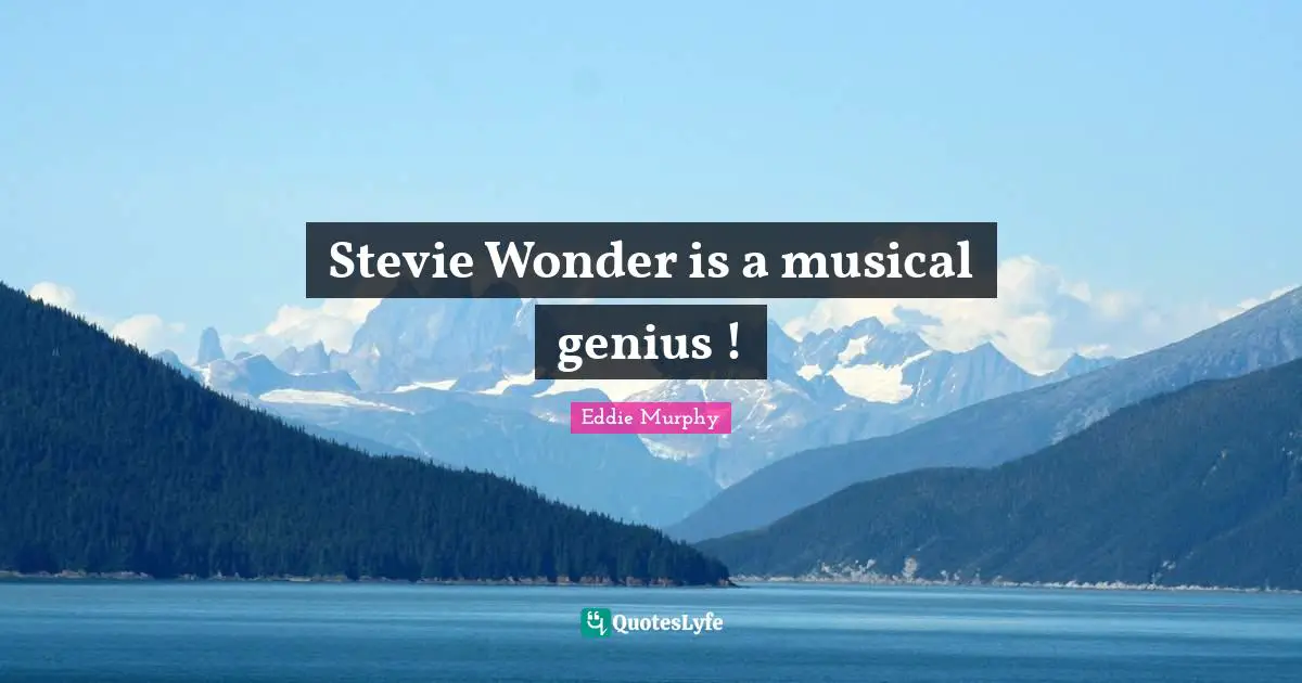 Stevie Wonder is a musical genius !