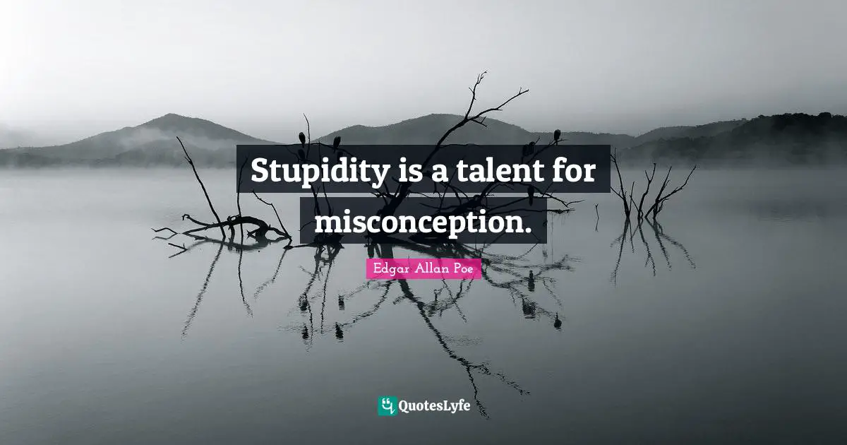 Stupidity is a talent for misconception.