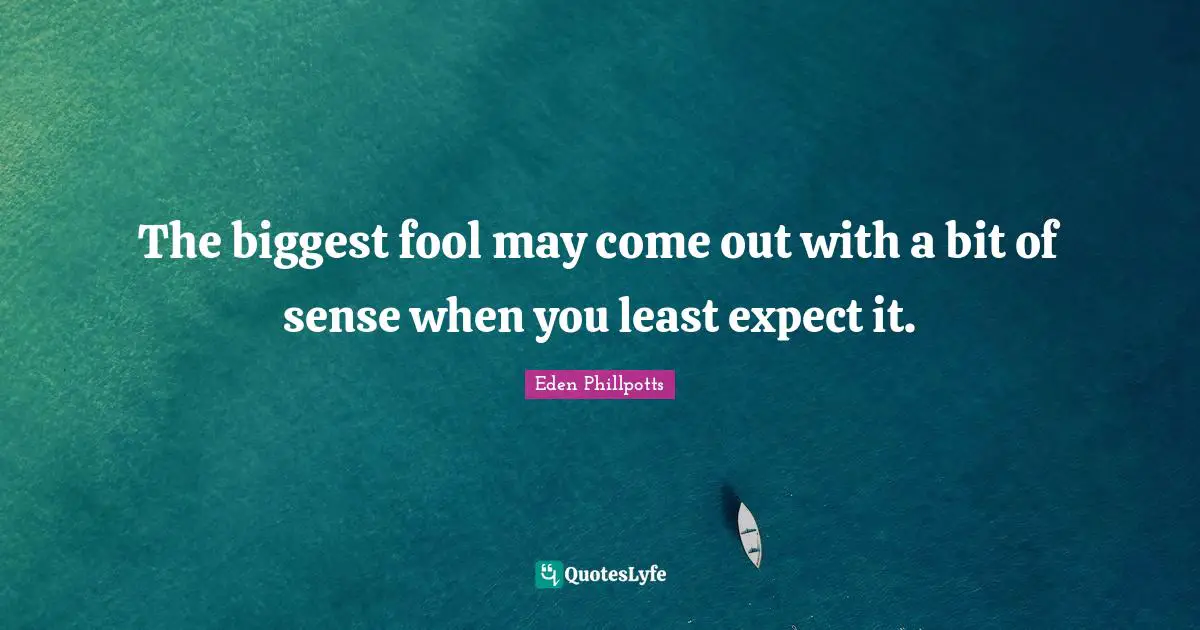 The biggest fool may come out with a bit of sense when you least expect it.