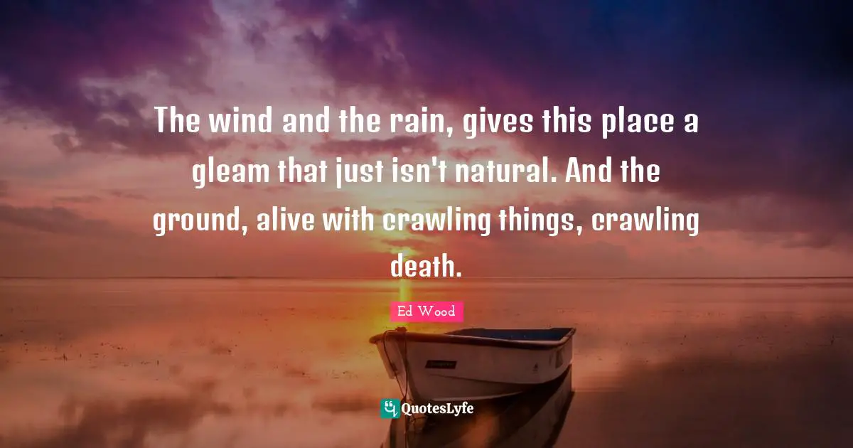 The wind and the rain, gives this place a gleam that just isn't natural. And the ground, alive with crawling things, crawling death.