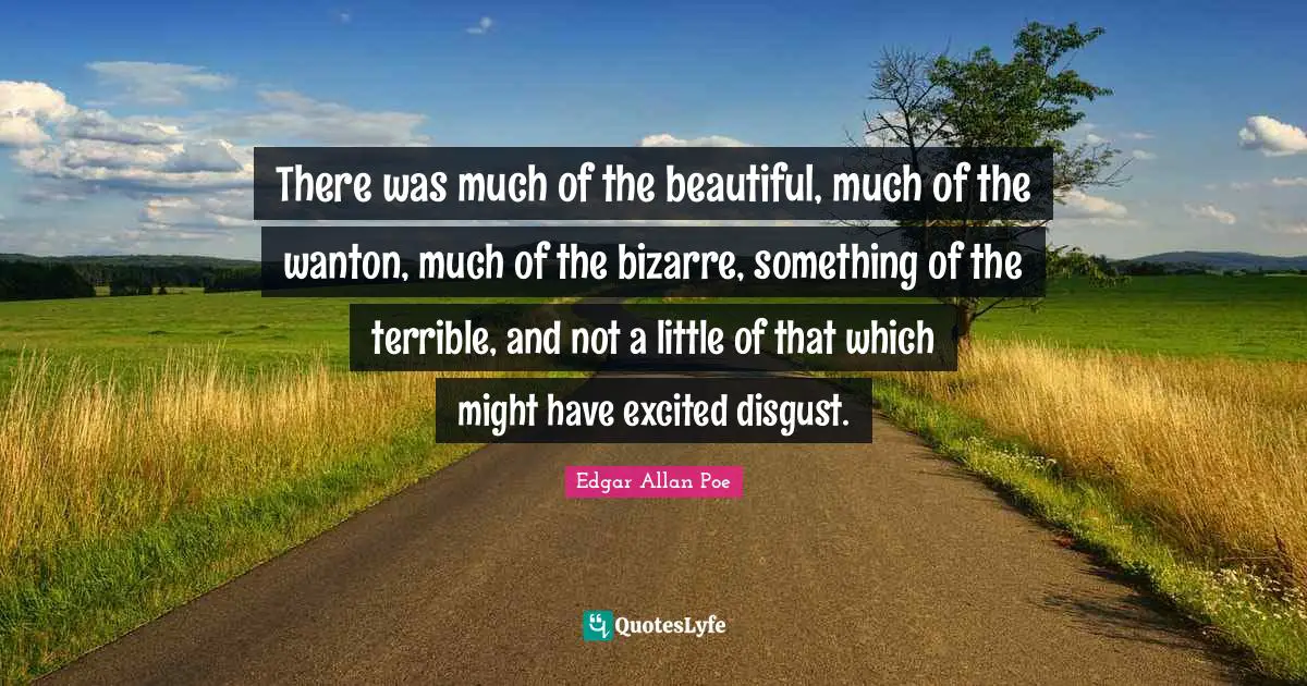 There was much of the beautiful, much of the wanton, much of the bizarre, something of the terrible, and not a little of that which might have excited disgust.