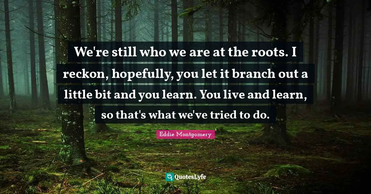 Live And Learn Quotes: "We're still who we are at the roots. I reckon, hopefully, you let it branch out a little bit and you learn. You live and learn, so that's what we've tried to do."
