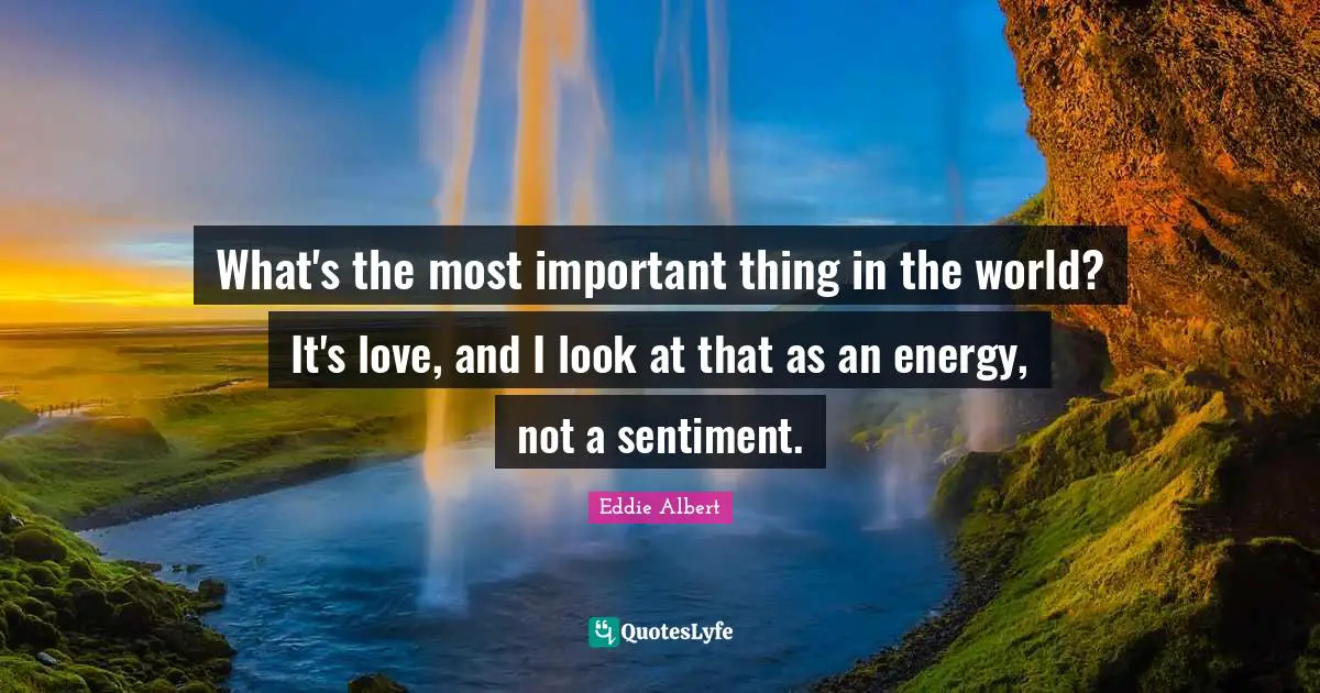 What's the most important thing in the world? It's love, and I look at that as an energy, not a sentiment.
