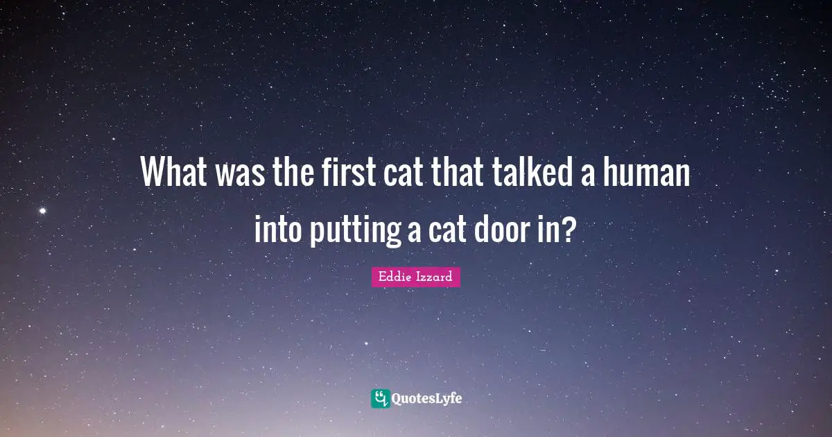 What was the first cat that talked a human into putting a cat door in?