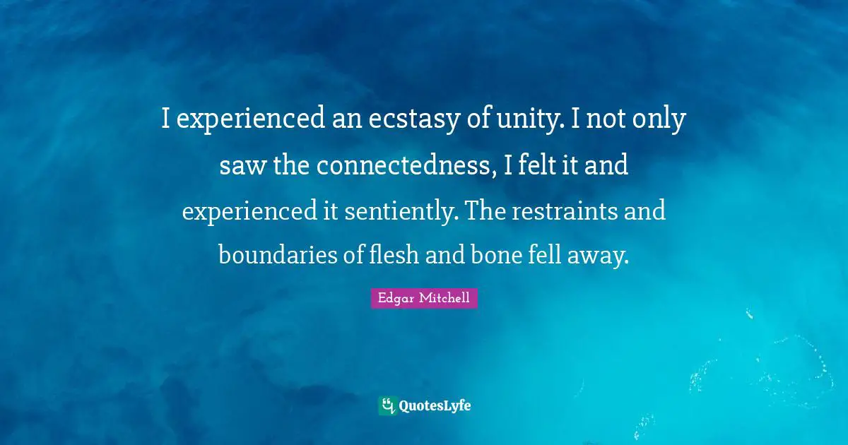 I experienced an ecstasy of unity. I not only saw the connectedness, I felt it and experienced it sentiently. The restraints and boundaries of flesh and bone fell away.