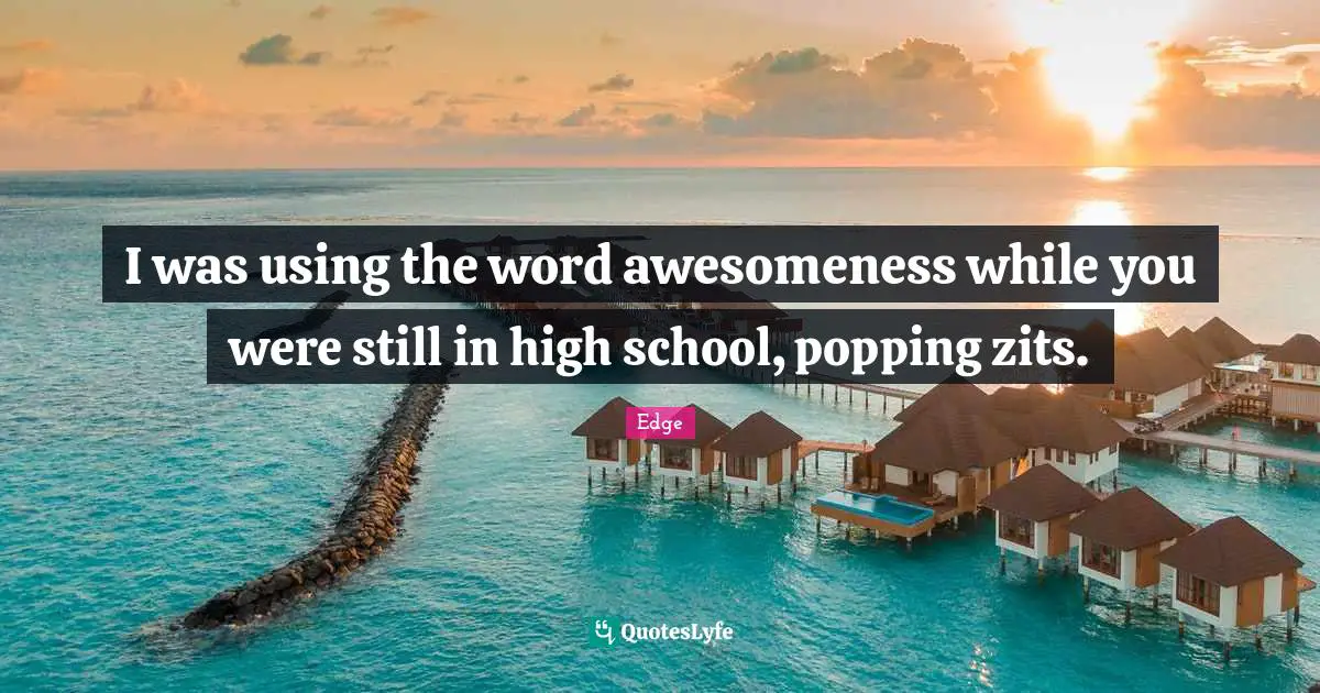 High School Quotes: "I was using the word awesomeness while you were still in high school, popping zits."