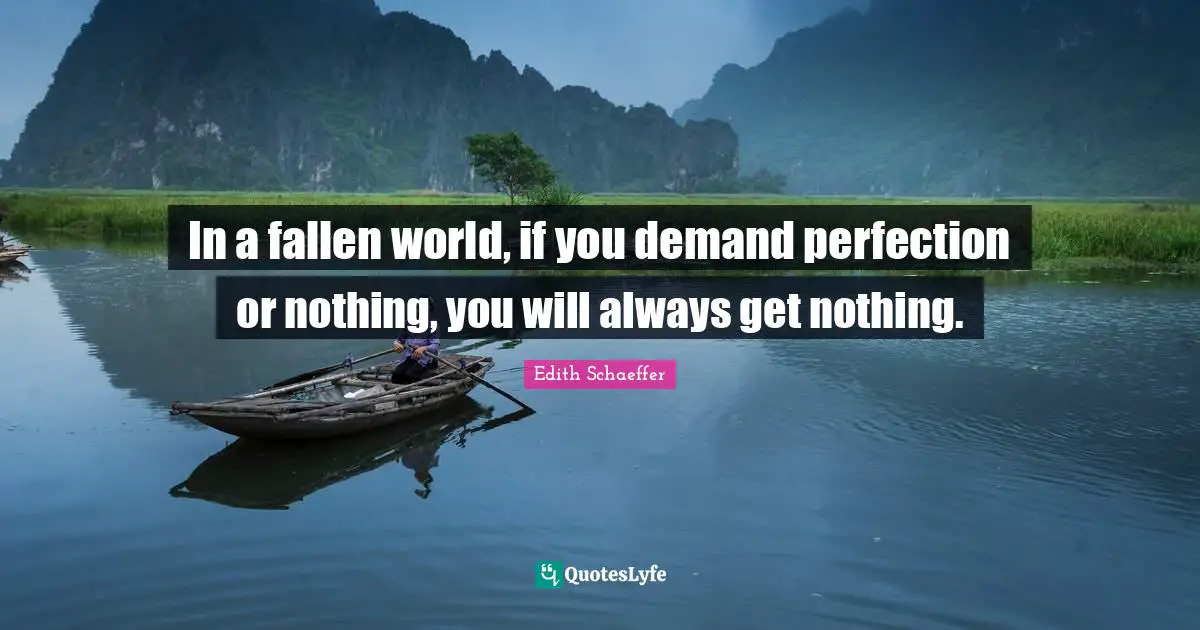 In a fallen world, if you demand perfection or nothing, you will always get nothing.