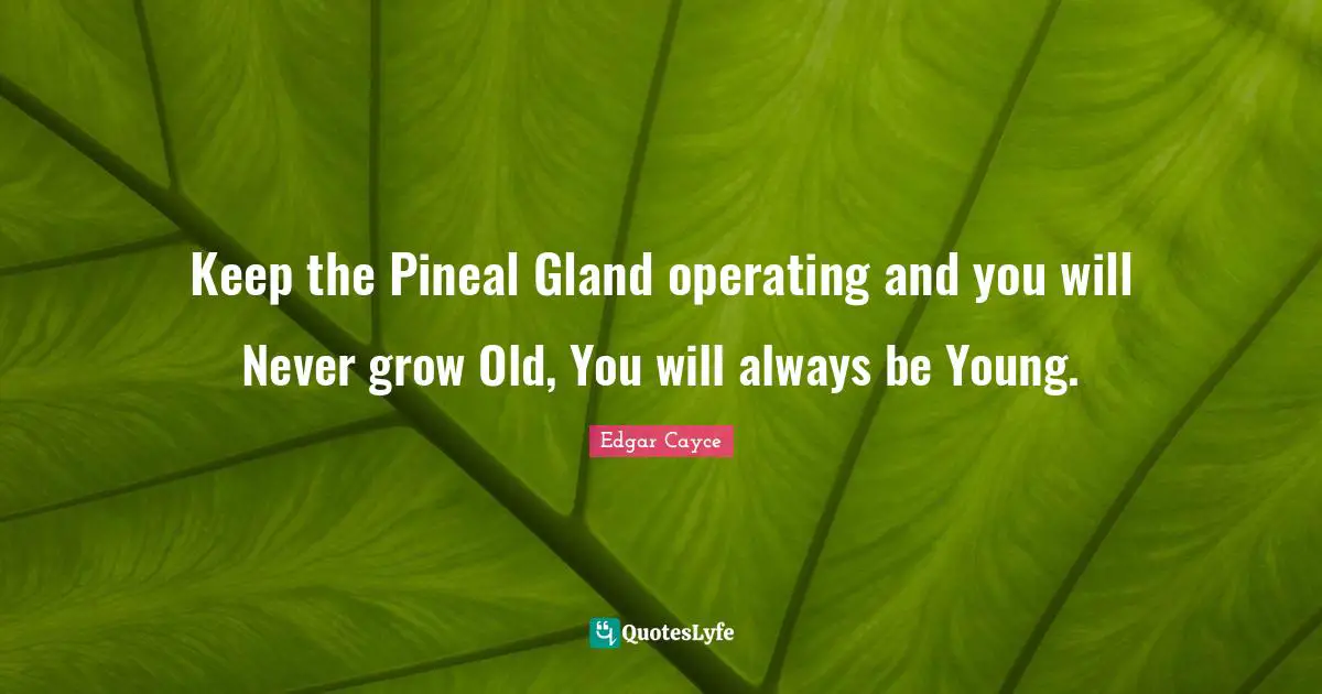 Young Quotes: "Keep the Pineal Gland operating and you will Never grow Old, You will always be Young."