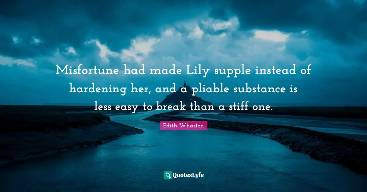 Misfortune had made Lily supple instead of hardening her, and a pliable substance is less easy to break than a stiff one.