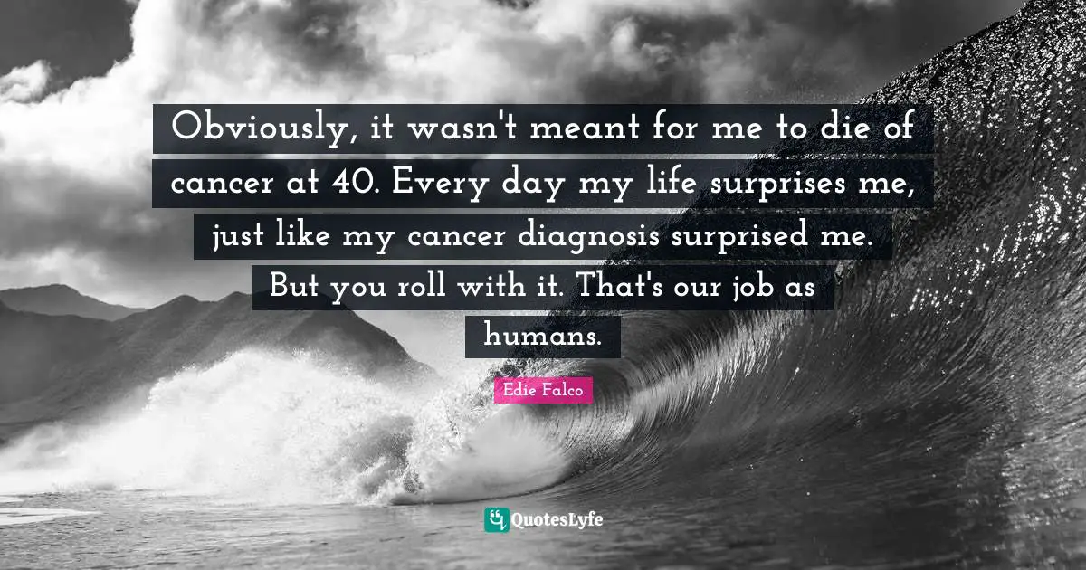 Obviously, it wasn't meant for me to die of cancer at 40. Every day my life surprises me, just like my cancer diagnosis surprised me. But you roll with it. That's our job as humans.