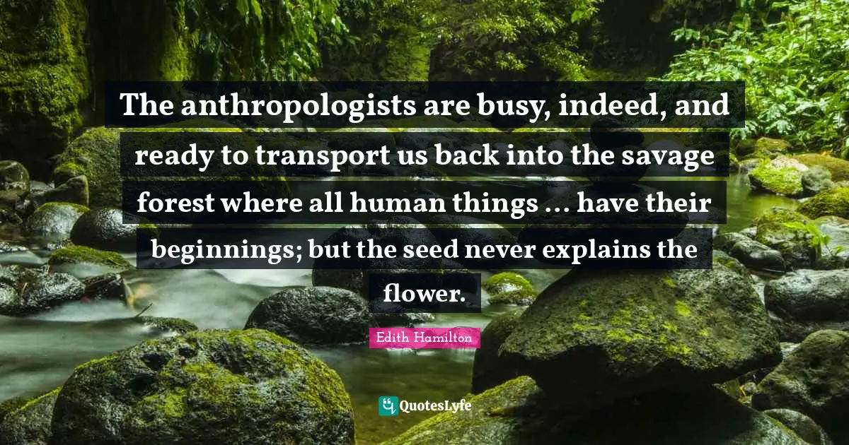 The anthropologists are busy, indeed, and ready to transport us back into the savage forest where all human things ... have their beginnings; but the seed never explains the flower.