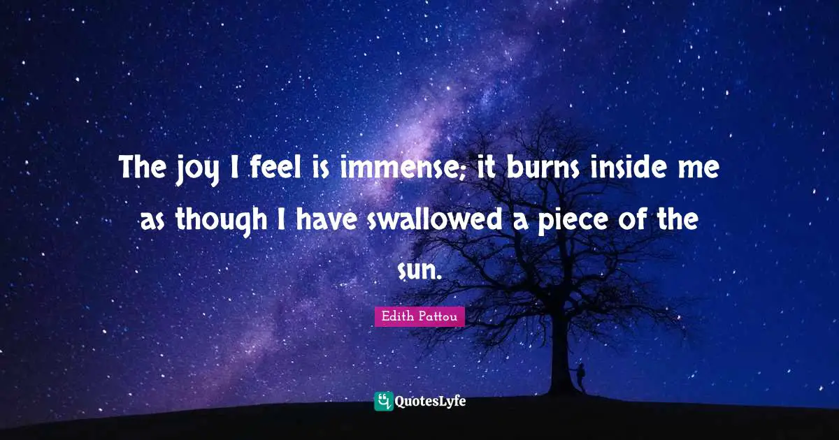 The joy I feel is immense; it burns inside me as though I have swallowed a piece of the sun.