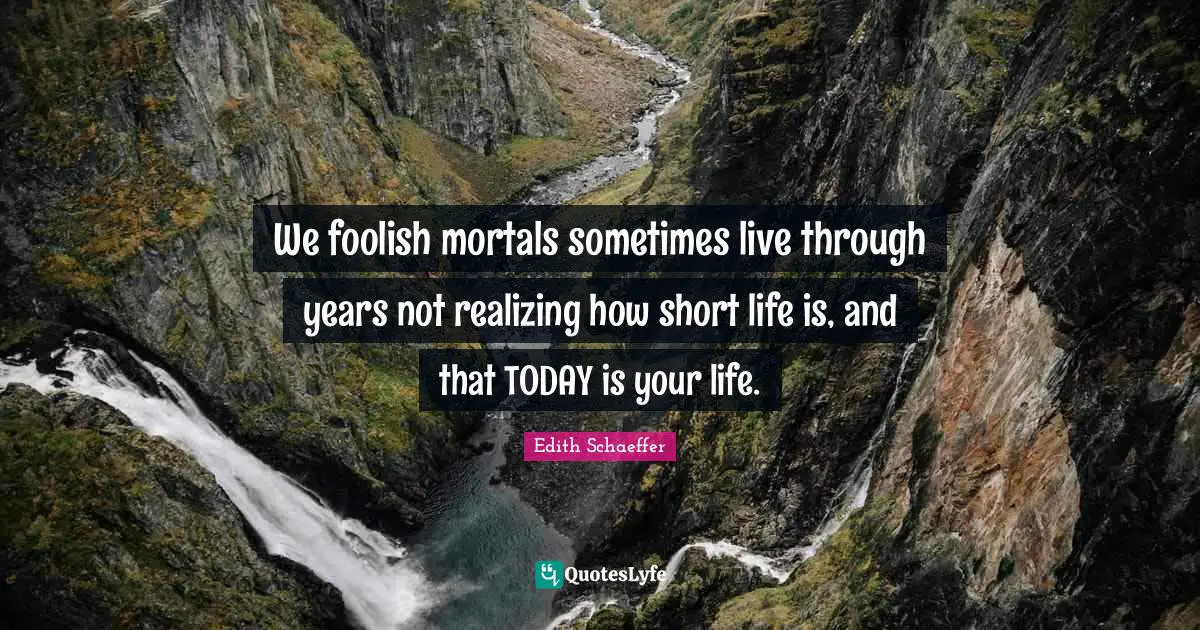 We foolish mortals sometimes live through years not realizing how short life is, and that TODAY is your life.