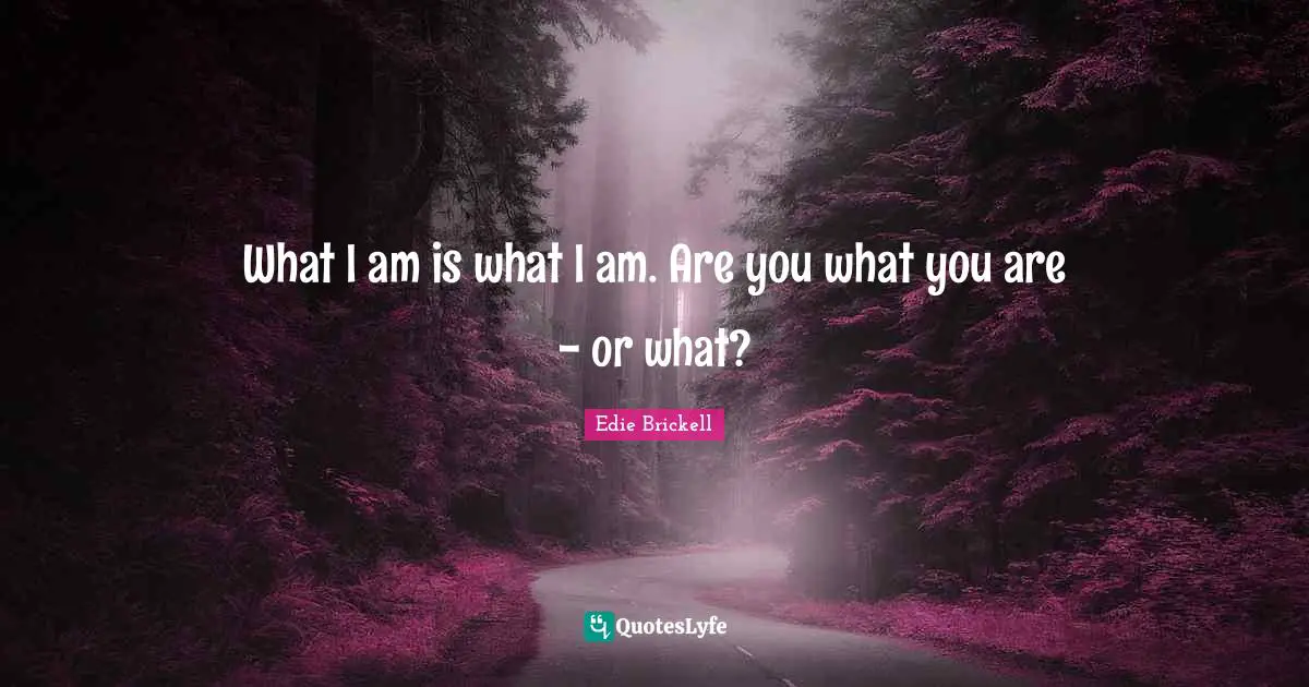 Edie Brickell Quotes: "What I am is what I am. Are you what you are - or what?"