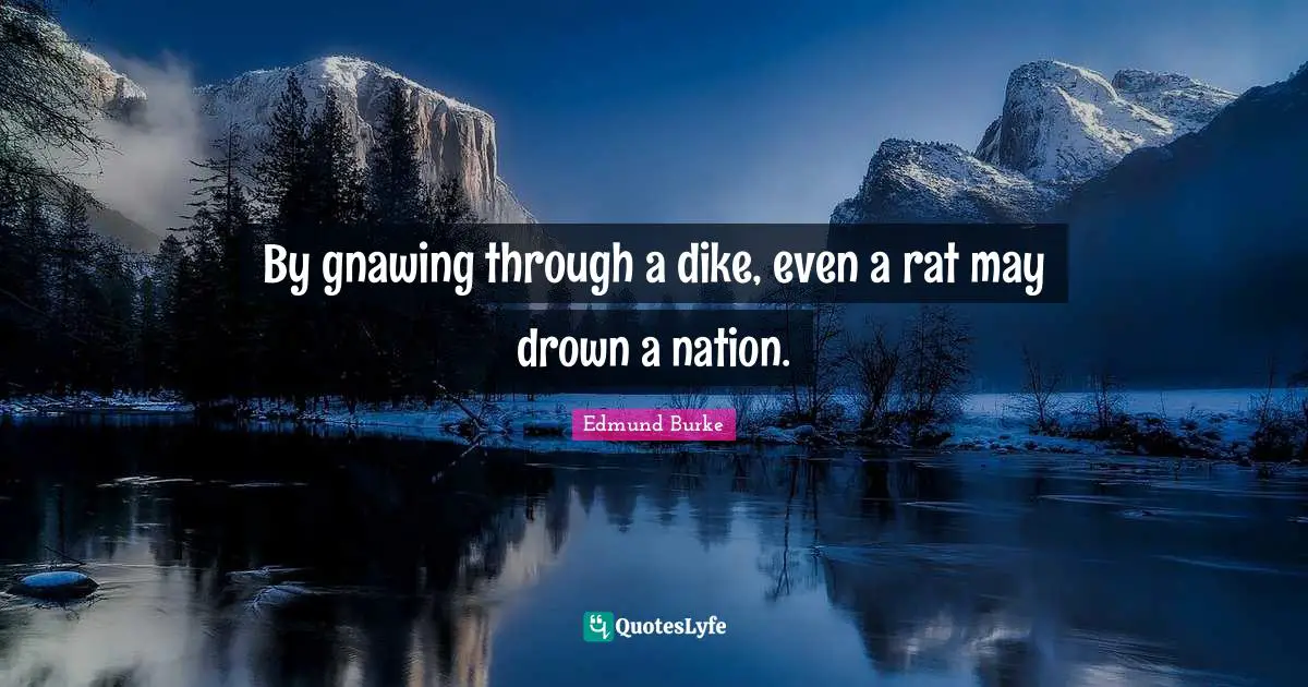 Edmund Burke Quotes: "By gnawing through a dike, even a rat may drown a nation."