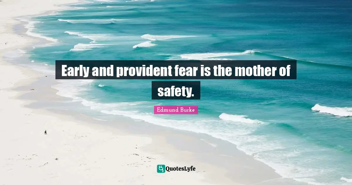 Early and provident fear is the mother of safety.