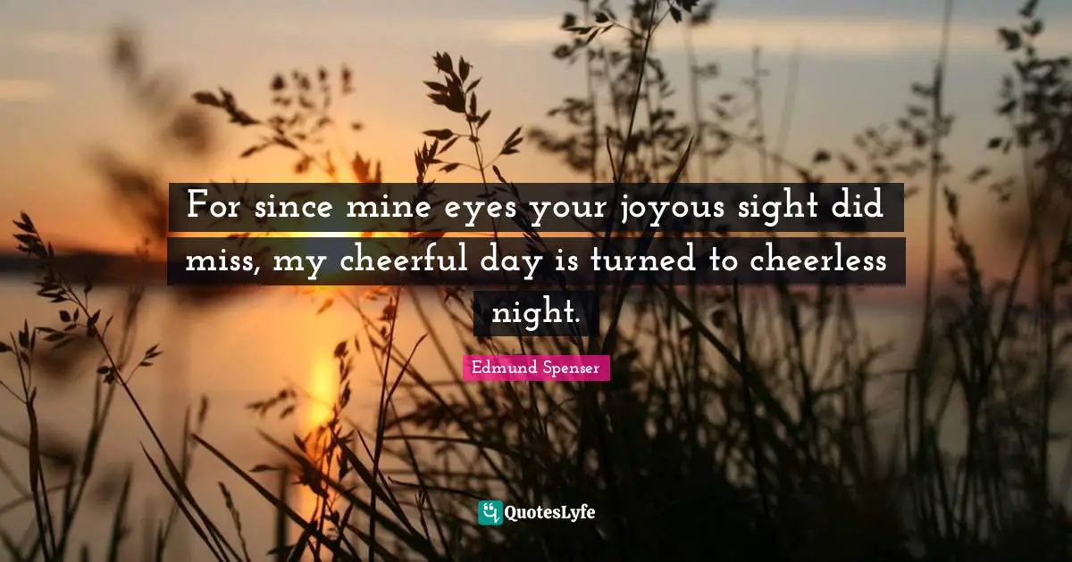 For since mine eyes your joyous sight did miss, my cheerful day is turned to cheerless night.