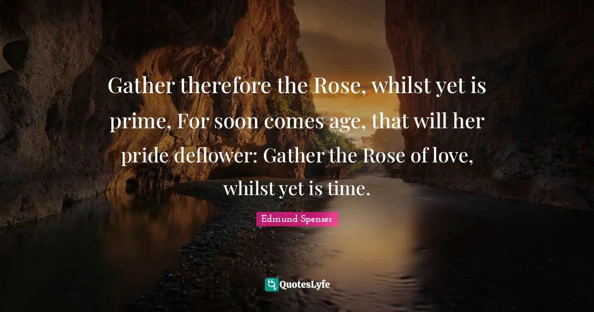 Gather therefore the Rose, whilst yet is prime, For soon comes age, that will her pride deflower: Gather the Rose of love, whilst yet is time.