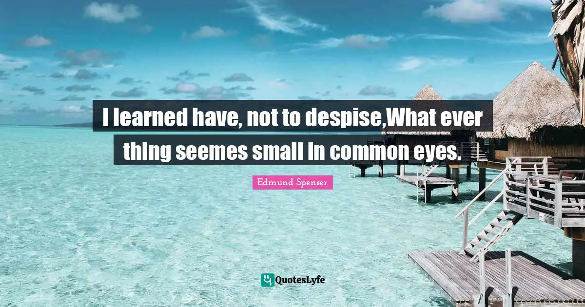 I learned have, not to despise,What ever thing seemes small in common eyes.