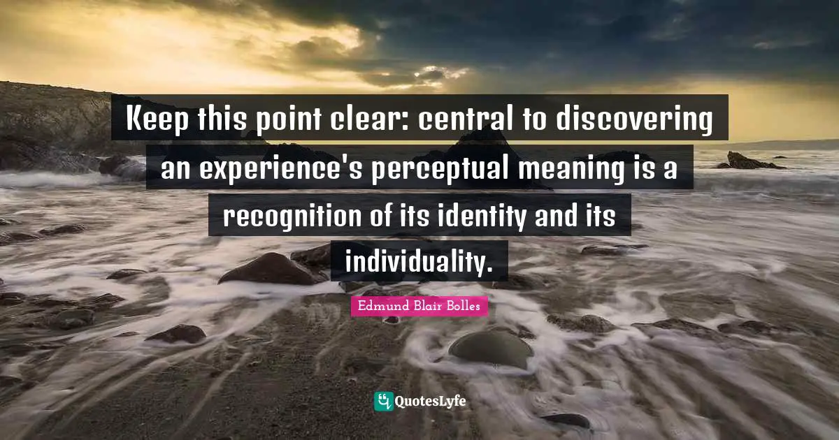 Keep this point clear: central to discovering an experience's perceptual meaning is a recognition of its identity and its individuality.