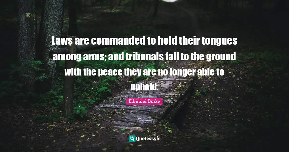 Laws are commanded to hold their tongues among arms; and tribunals fall to the ground with the peace they are no longer able to uphold.
