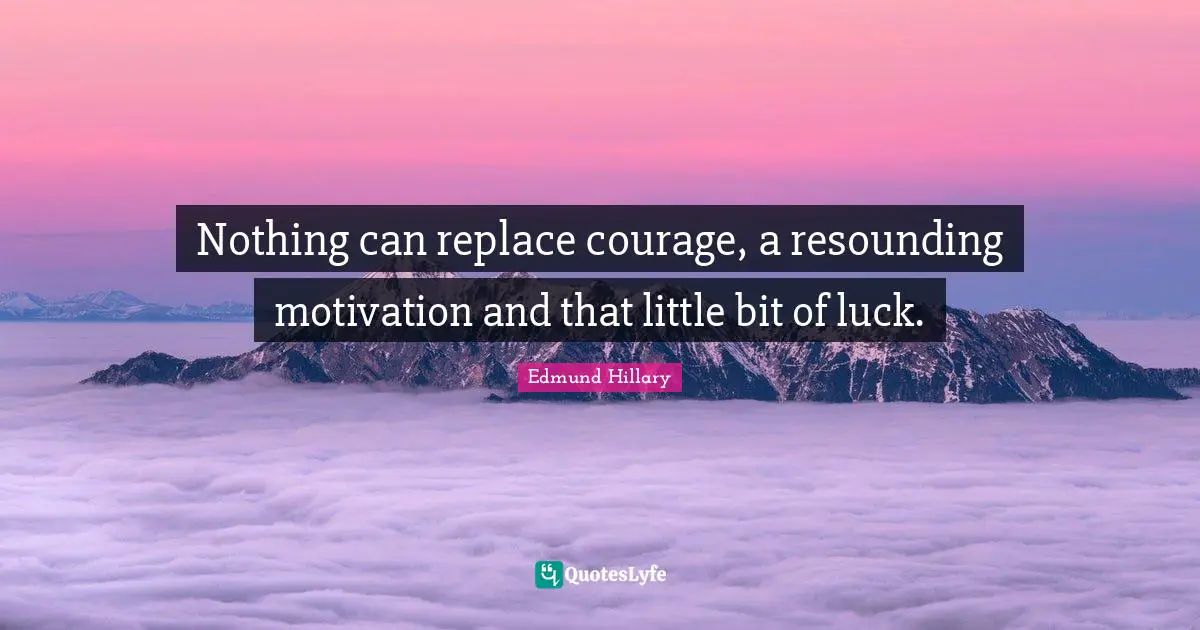 Little Bit Quotes: "Nothing can replace courage, a resounding motivation and that little bit of luck."