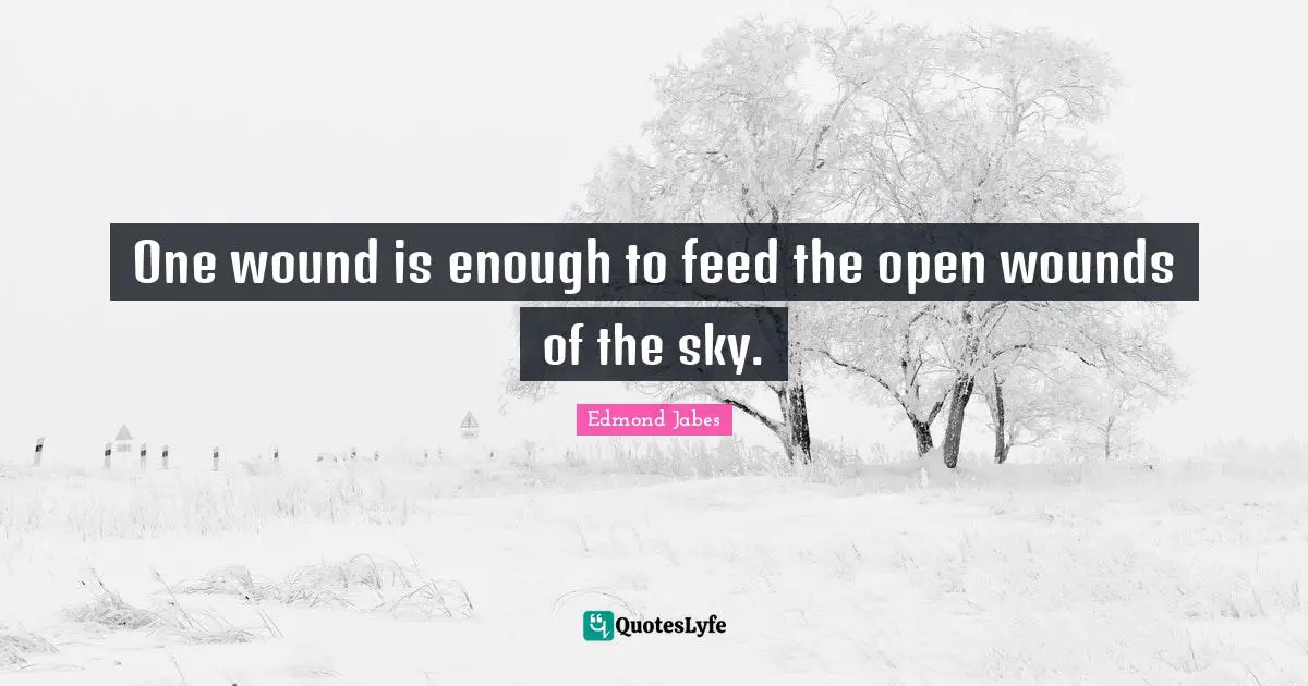 One wound is enough to feed the open wounds of the sky.