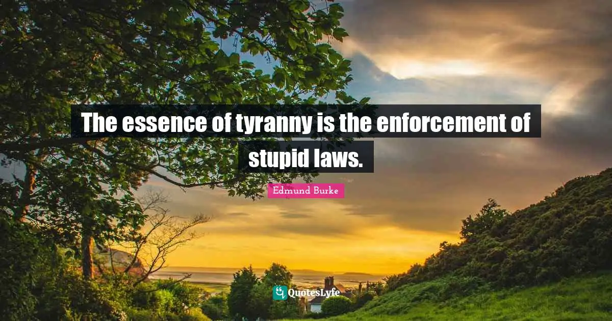 Edmund Burke Quotes: "The essence of tyranny is the enforcement of stupid laws."