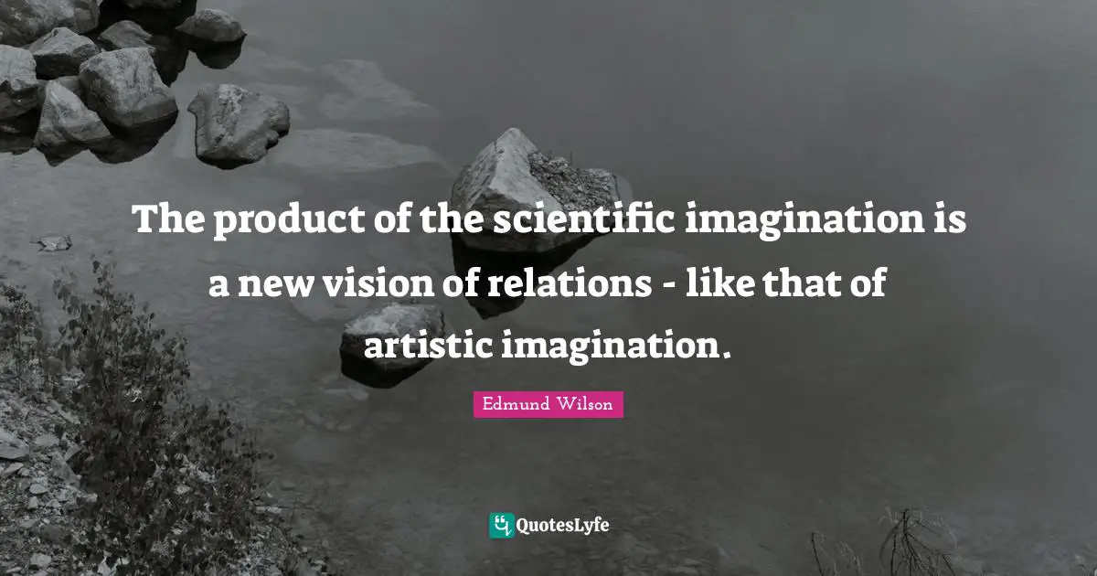 The product of the scientific imagination is a new vision of relations - like that of artistic imagination.
