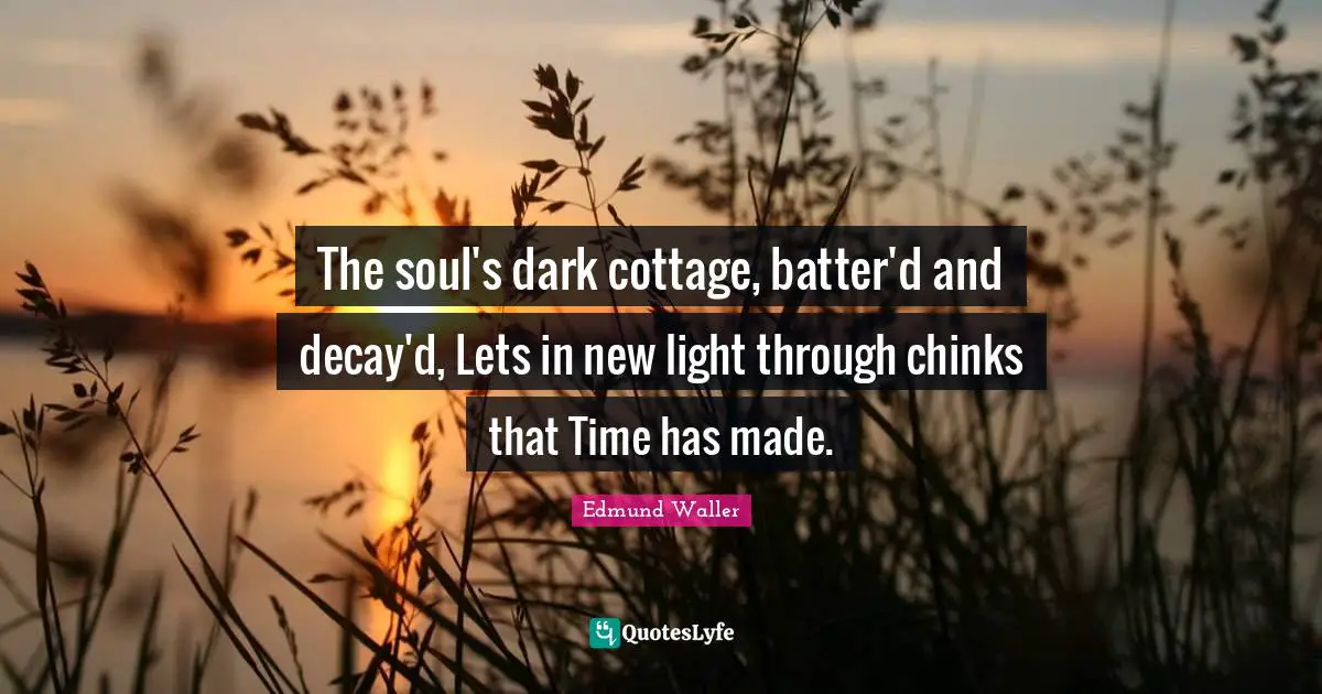 The soul's dark cottage, batter'd and decay'd, Lets in new light through chinks that Time has made.