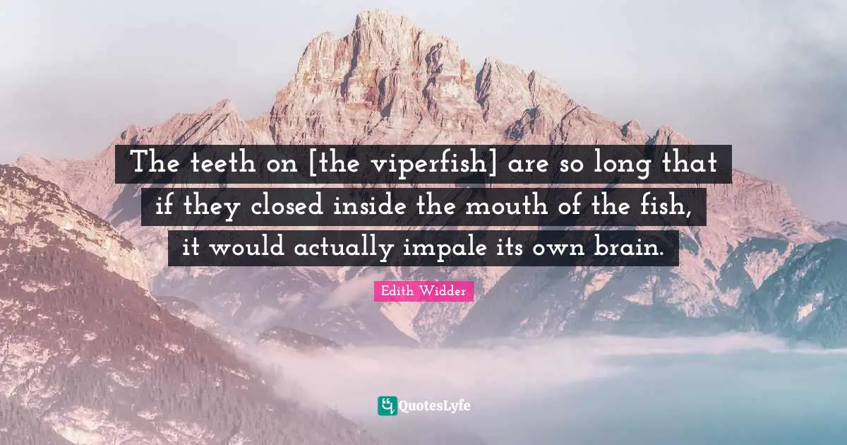 Edith Widder Quotes: "The teeth on [the viperfish] are so long that if they closed inside the mouth of the fish, it would actually impale its own brain."
