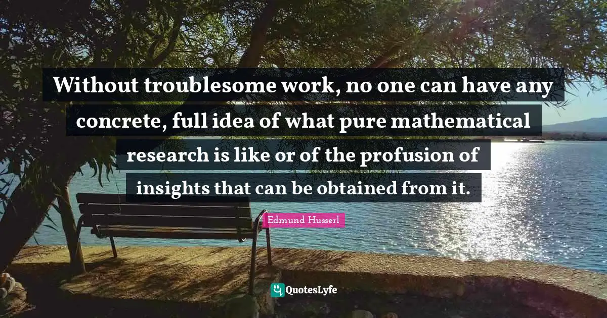 Edmund Husserl Quotes: "Without troublesome work, no one can have any concrete, full idea of what pure mathematical research is like or of the profusion of insights that can be obtained from it."
