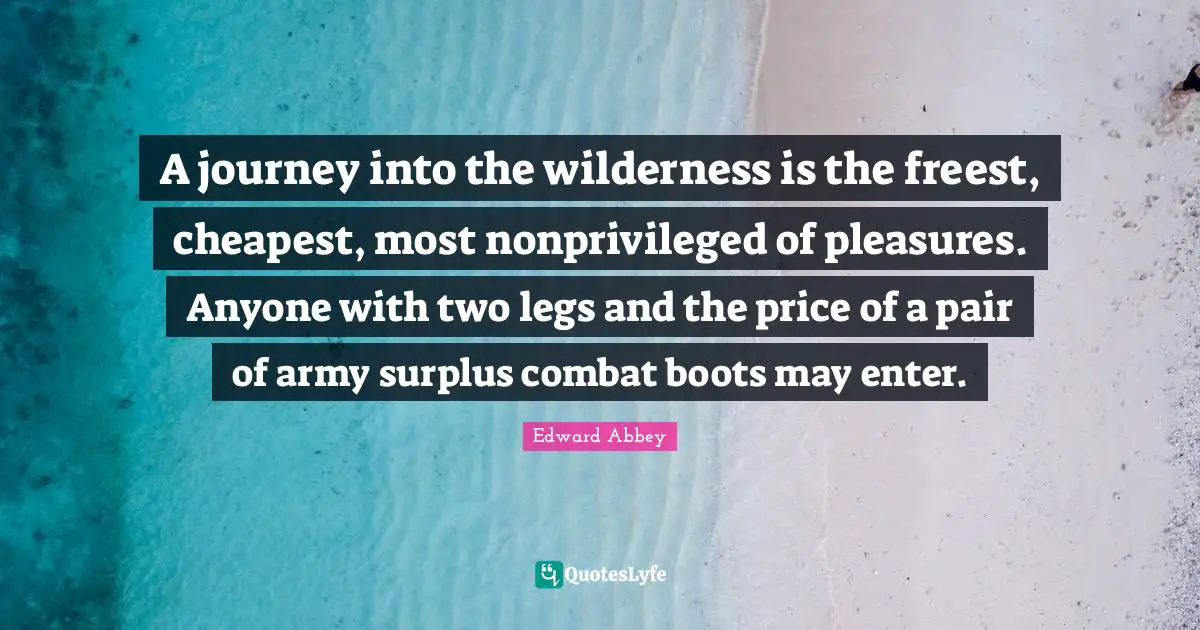 A journey into the wilderness is the freest, cheapest, most nonprivileged of pleasures. Anyone with two legs and the price of a pair of army surplus combat boots may enter.