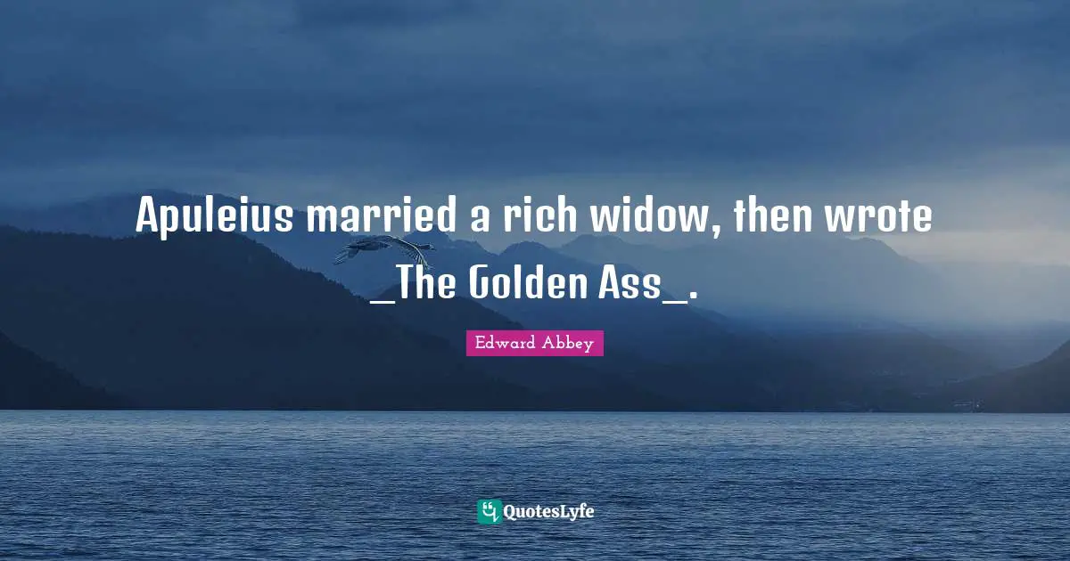 Apuleius married a rich widow, then wrote _The Golden Ass_.