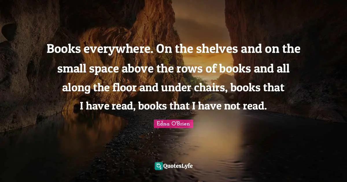 Books everywhere. On the shelves and on the small space above the rows of books and all along the floor and under chairs, books that I have read, books that I have not read.