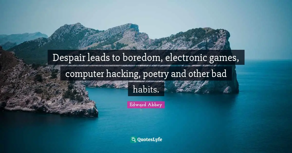 Despair leads to boredom, electronic games, computer hacking, poetry and other bad habits.