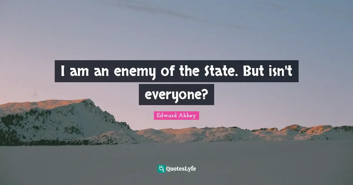 I am an enemy of the State. But isn't everyone?
