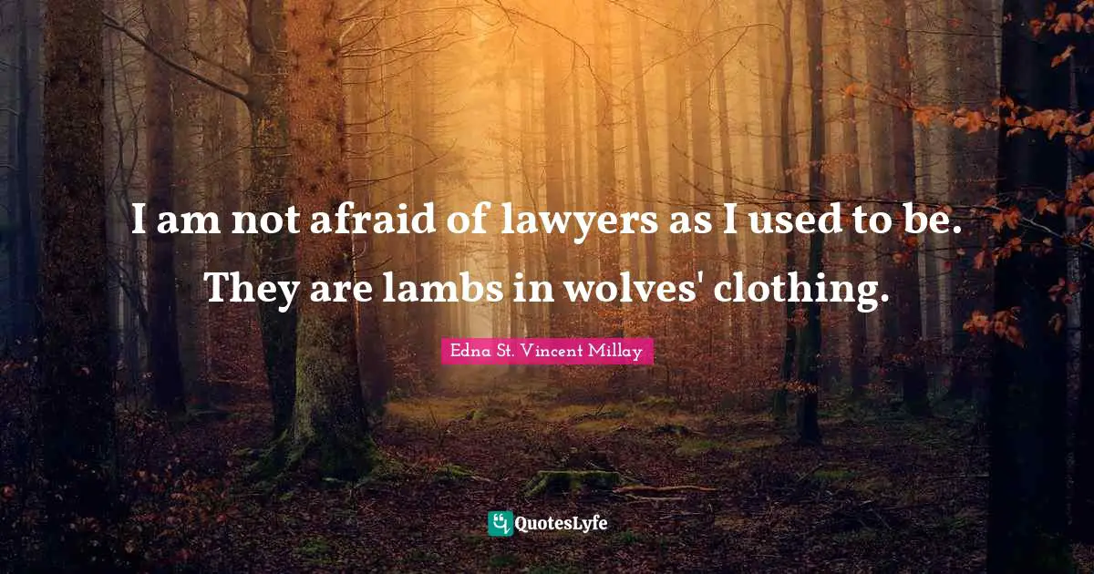 I am not afraid of lawyers as I used to be. They are lambs in wolves' clothing.