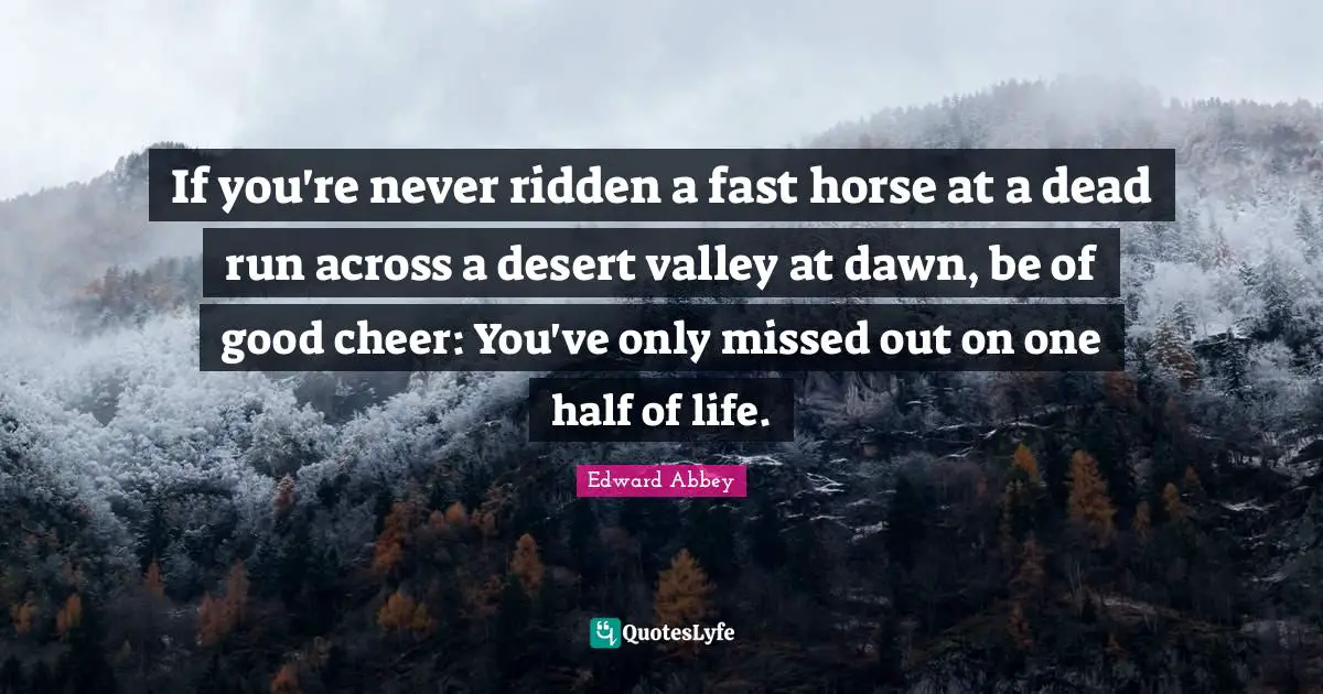 One Half Quotes: "If you're never ridden a fast horse at a dead run across a desert valley at dawn, be of good cheer: You've only missed out on one half of life."