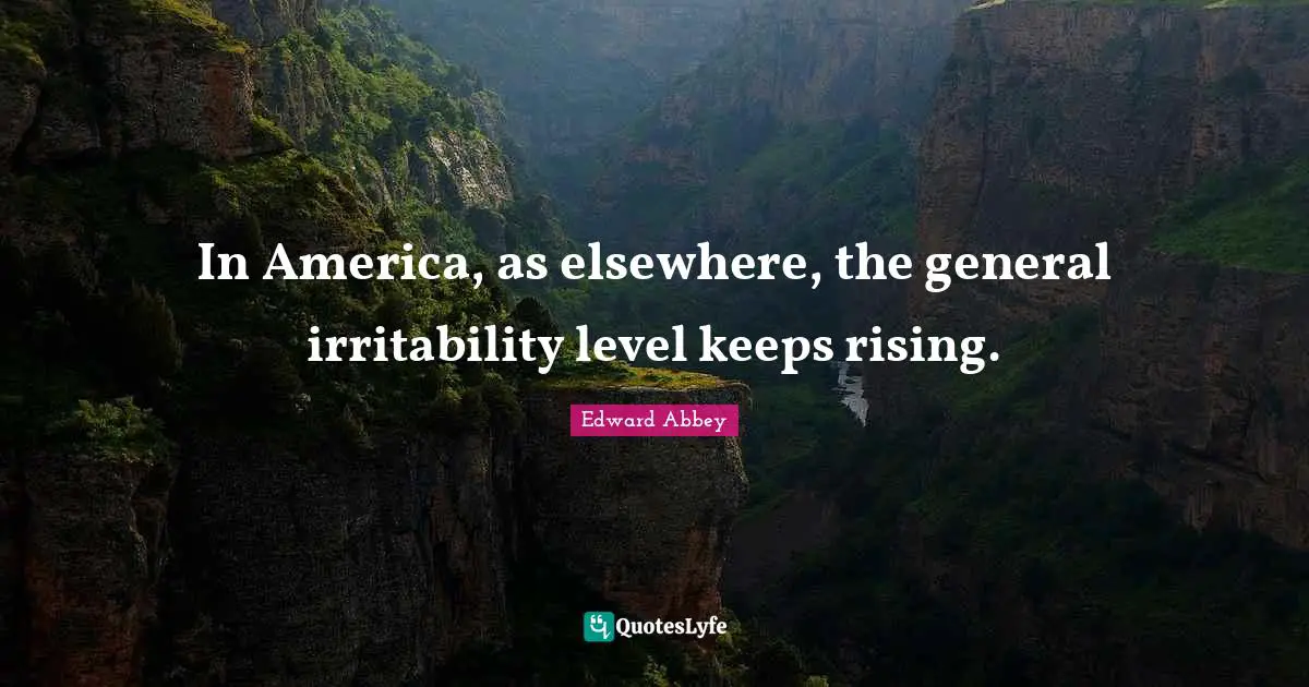 In America, as elsewhere, the general irritability level keeps rising.