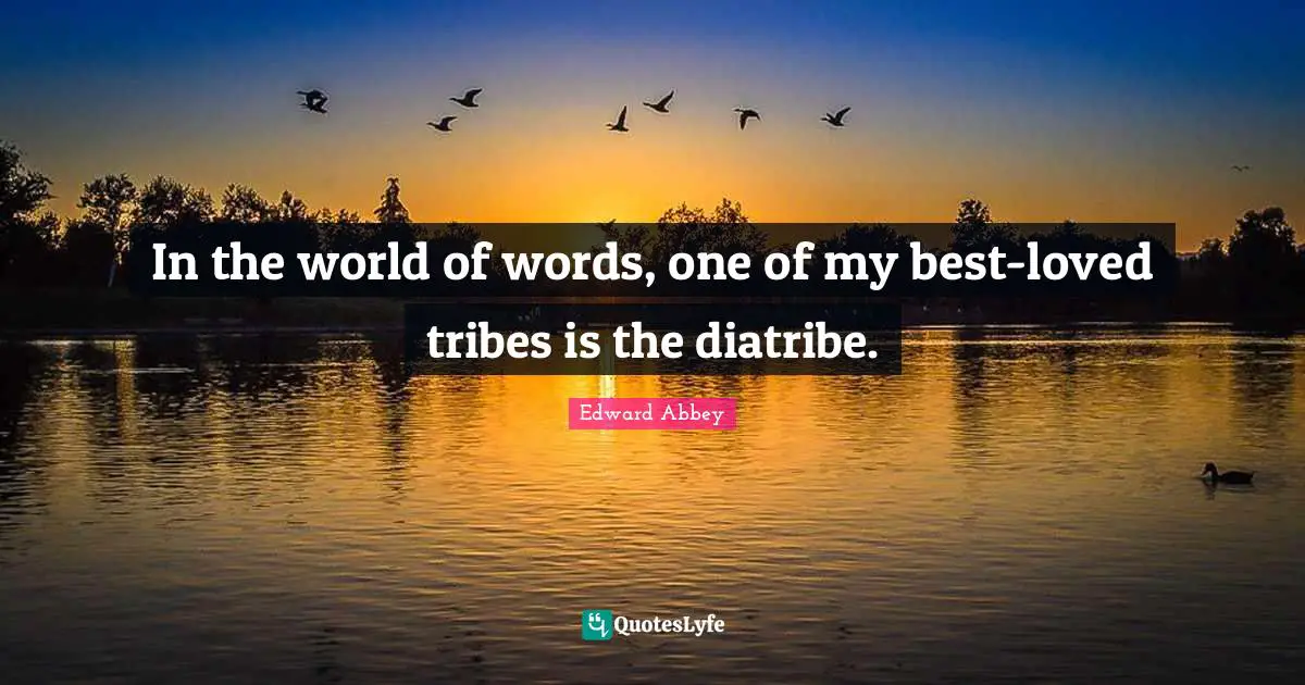 In the world of words, one of my best-loved tribes is the diatribe.