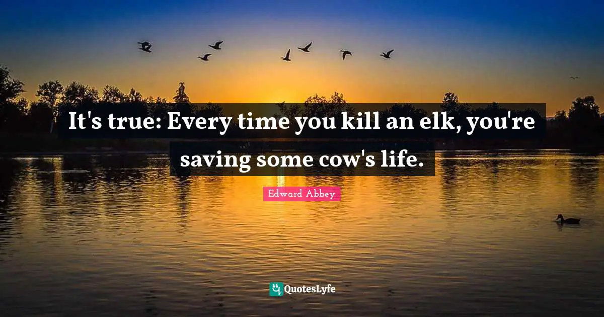 It's true: Every time you kill an elk, you're saving some cow's life.