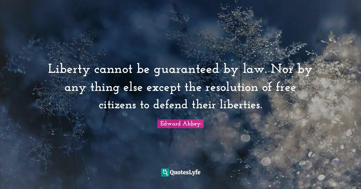 Liberty cannot be guaranteed by law. Nor by any thing else except the resolution of free citizens to defend their liberties.